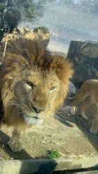 東武動物公園に投稿された画像（2025/12/31）