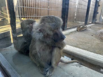 東武動物公園に投稿された画像（2025/12/31）