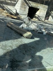 東武動物公園に投稿された画像（2025/12/31）