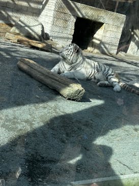 東武動物公園に投稿された画像（2025/12/31）