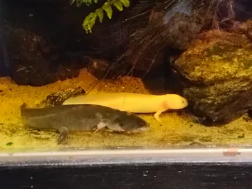 竹島水族館に投稿された画像（2025/12/31）