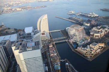 横浜ランドマークタワー 69階展望フロア スカイガーデンに投稿された画像（2025/12/31）