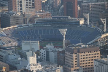 横浜ランドマークタワー 69階展望フロア スカイガーデンに投稿された画像（2025/12/31）