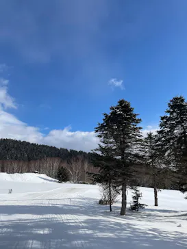 星野リゾート　トマムスキー場に投稿された画像（2025/12/31）