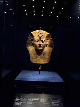 ACN ラムセス大王展 ファラオたちの黄金に投稿された画像（2025/12/31）