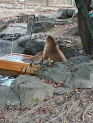 群馬サファリパークに投稿された画像（2025/12/31）