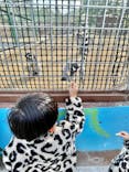 しろとり動物園に投稿された画像（2025/12/31）
