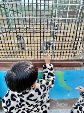 しろとり動物園に投稿された画像（2025/12/31）