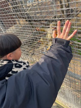 しろとり動物園に投稿された画像（2025/12/31）