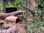 恩賜上野動物園に投稿された画像（2025/12/31）