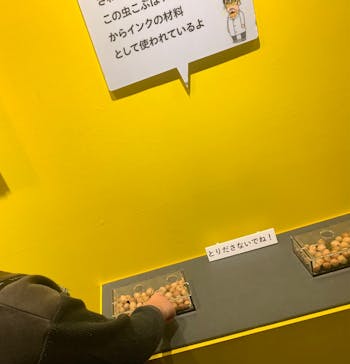 特別展「昆虫MANIAC」（名古屋会場）に投稿された画像（2025/12/31）