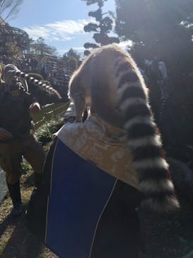 伊豆シャボテン動物公園に投稿された画像（2025/12/31）