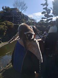 伊豆シャボテン動物公園に投稿された画像（2025/12/31）