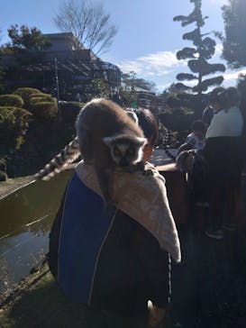 伊豆シャボテン動物公園に投稿された画像（2025/12/31）