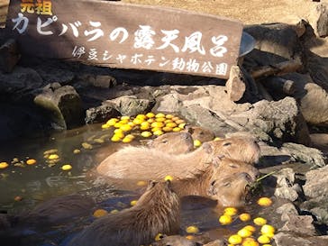 伊豆シャボテン動物公園に投稿された画像（2025/12/31）