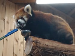 伊豆シャボテン動物公園に投稿された画像（2025/12/31）