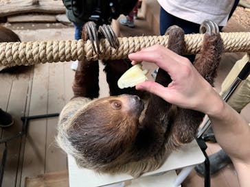カワスイ 川崎⽔族館に投稿された画像（2025/12/31）
