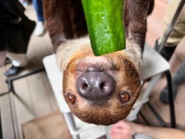 カワスイ 川崎⽔族館に投稿された画像（2025/12/31）