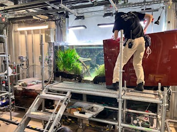 カワスイ 川崎⽔族館に投稿された画像（2025/12/31）