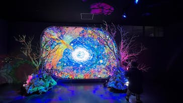 広島もとまち水族館に投稿された画像（2025/12/31）