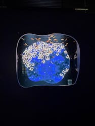 広島もとまち水族館に投稿された画像（2025/12/31）