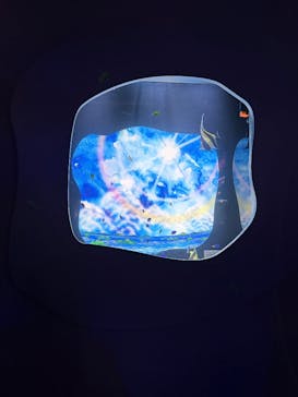 広島もとまち水族館に投稿された画像（2025/12/31）