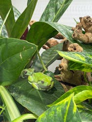 広島もとまち水族館に投稿された画像（2025/12/31）