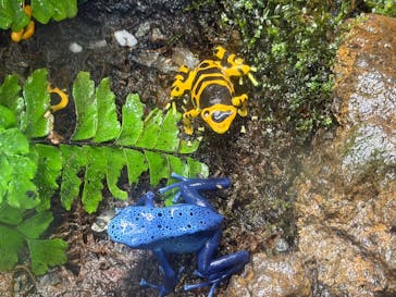 広島もとまち水族館に投稿された画像（2025/12/31）