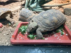 サンシャイン水族館に投稿された画像（2025/12/31）