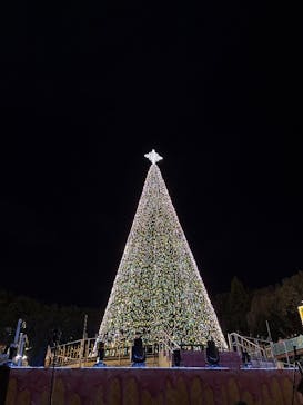 レオマリゾートに投稿された画像（2025/12/31）