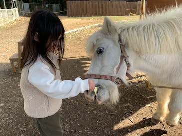 ダチョウ王国石岡ファームに投稿された画像（2025/12/31）