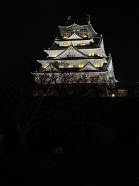 大阪城イルミナージュに投稿された画像（2025/12/31）