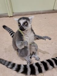 アニタッチPARKイオンモール太田に投稿された画像（2025/12/31）