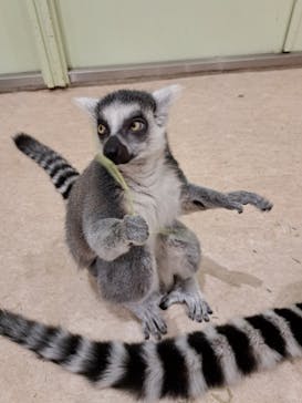 アニタッチPARKイオンモール太田に投稿された画像（2025/12/31）