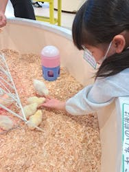 アニタッチPARKイオンモール太田に投稿された画像（2025/12/31）