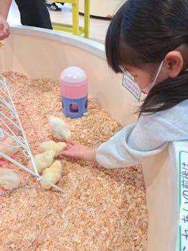 アニタッチPARKイオンモール太田に投稿された画像（2025/12/31）