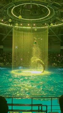 マクセル アクアパーク品川に投稿された画像（2025/12/31）