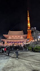 東京タワーに投稿された画像（2025/12/31）