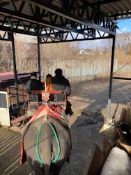 那須ワールドモンキーパークに投稿された画像（2025/12/31）