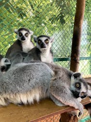 那須ワールドモンキーパークに投稿された画像（2025/12/31）