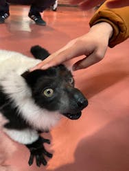 那須ワールドモンキーパークに投稿された画像（2025/12/31）