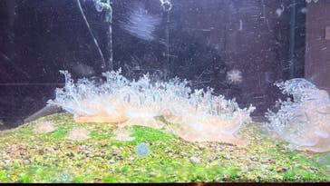 太地町立くじらの博物館に投稿された画像（2025/12/31）