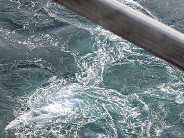 徳島県立 渦の道に投稿された画像（2025/12/31）