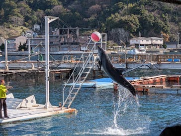 あわしまマリンパークに投稿された画像（2025/12/31）