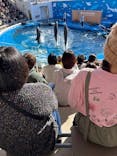 仙台うみの杜水族館に投稿された画像（2025/12/31）