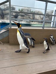 仙台うみの杜水族館に投稿された画像（2025/12/31）