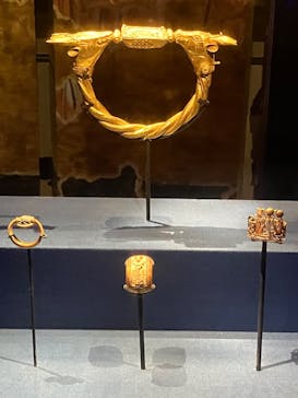 ACN ラムセス大王展 ファラオたちの黄金に投稿された画像（2025/12/31）