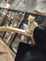 那須どうぶつ王国に投稿された画像（2025/12/31）