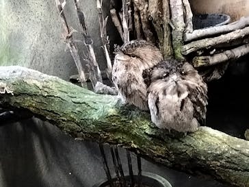 那須どうぶつ王国に投稿された画像（2025/12/31）