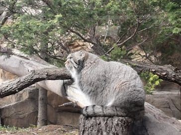 那須どうぶつ王国に投稿された画像（2025/12/31）